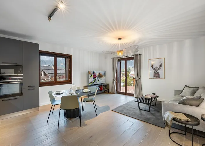 Appartement Lumineux Pres Des Pistes Avec Parking, Animaux Admis - Fr-1-569-138 *